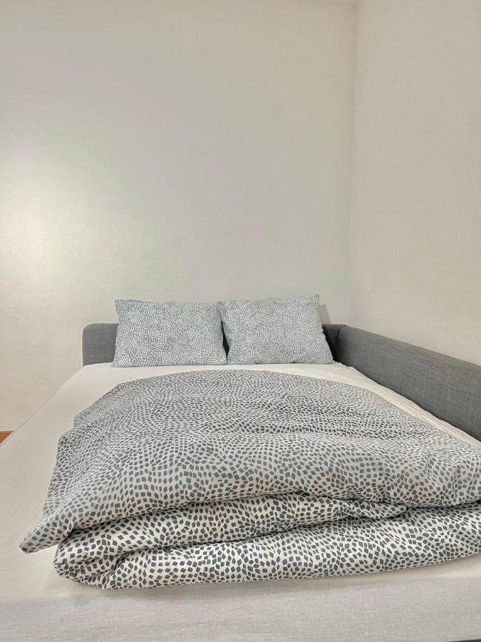 Appartamento Per 4 Persone Rudolfstetten エクステリア 写真